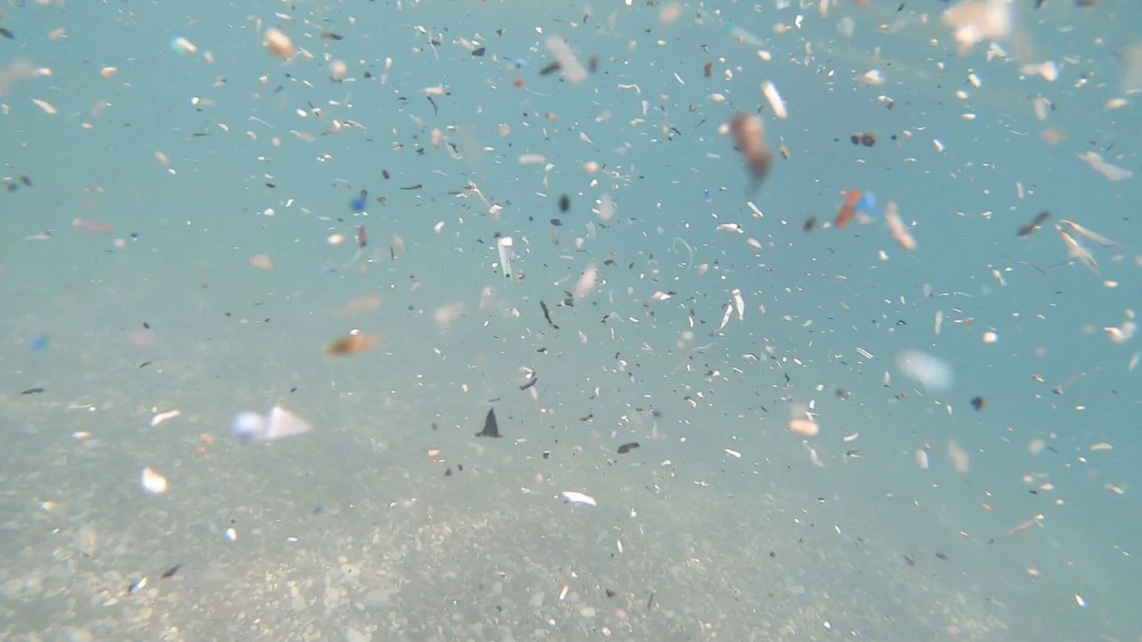 Akdeniz'de Mikroplastik Tehlikesi