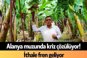 Alanya Muzunda Kriz Çözülüyor! İthale Fren Geliyor