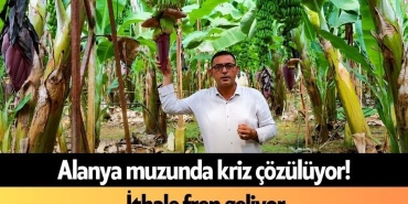 Alanya Muzunda Kriz Çözülüyor! İthale Fren Geliyor