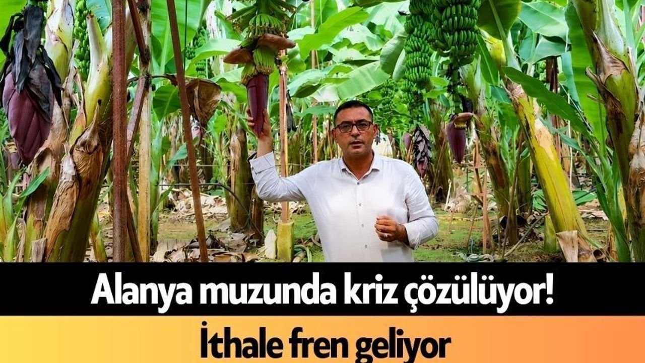 Alanya Muzunda Kriz Çözülüyor! İthale Fren Geliyor
