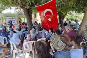 Antalya’da Zeytinlikler Kıskaç Altında! Bölge Sakinleri Karara Isyan Etti