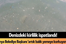 Denizdeki Kirlilik İspatlandı! Alanya Belediye Başkanı 'artık Balık Yemeye Korkuyorum