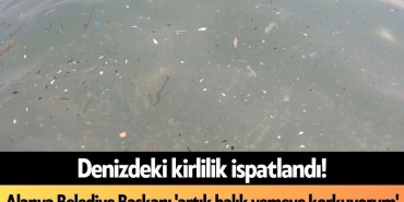 Denizdeki Kirlilik İspatlandı! Alanya Belediye Başkanı 'artık Balık Yemeye Korkuyorum