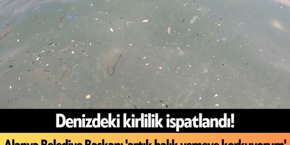 Denizdeki Kirlilik İspatlandı! Alanya Belediye Başkanı ‘artık Balık Yemeye Korkuyorum