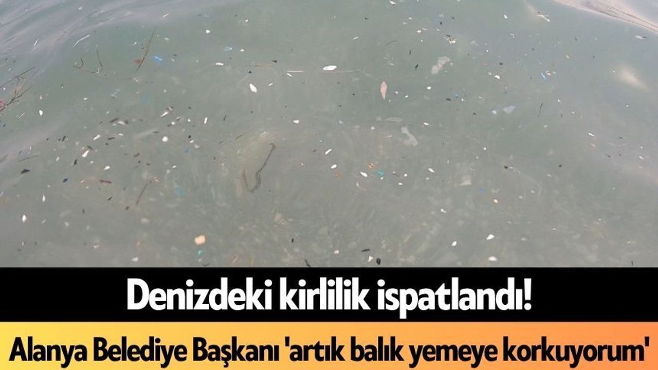 Denizdeki Kirlilik İspatlandı! Alanya Belediye Başkanı 'artık Balık Yemeye Korkuyorum