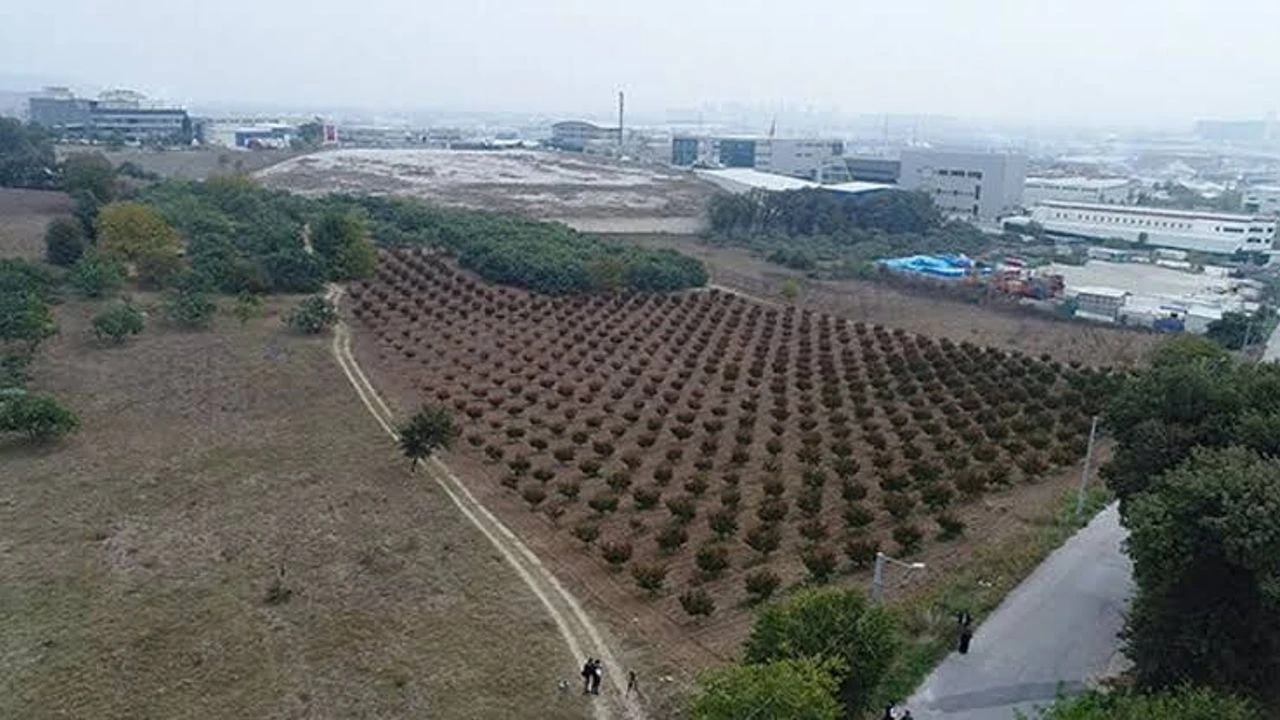 Manavgat Belediyesi İki Arsayı 109,5 Milyon Liraya Satışa Çıkarıyor