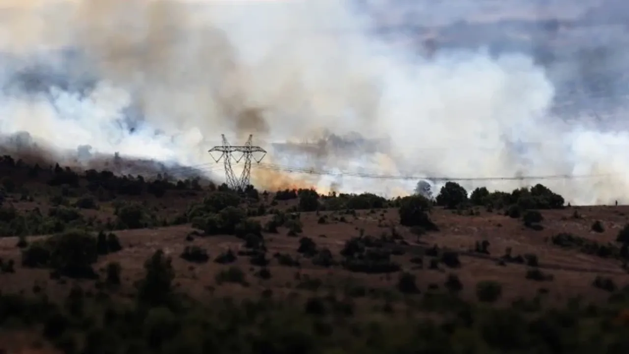 Son Dakika L Kocaeli Gebze'de Orman Yangını Çıktı