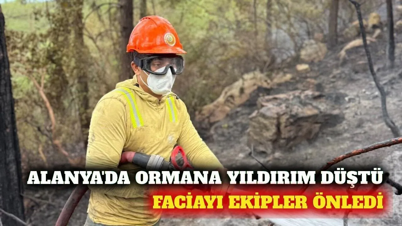 Alanya’da Ormana Yıldırım Düştü: 1 Dönüm Alan Zarar Gördü - Antalya Haber