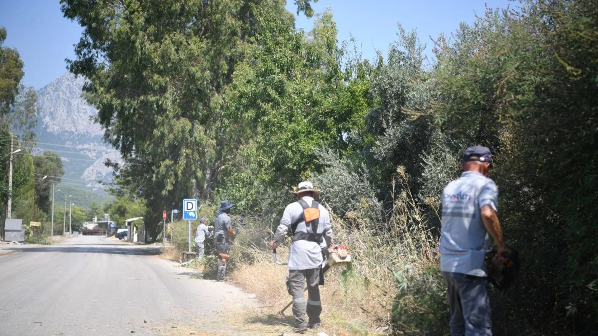 Konyaaltı'nda Yangına Karşı Budama Çalışması - Antalya Haber