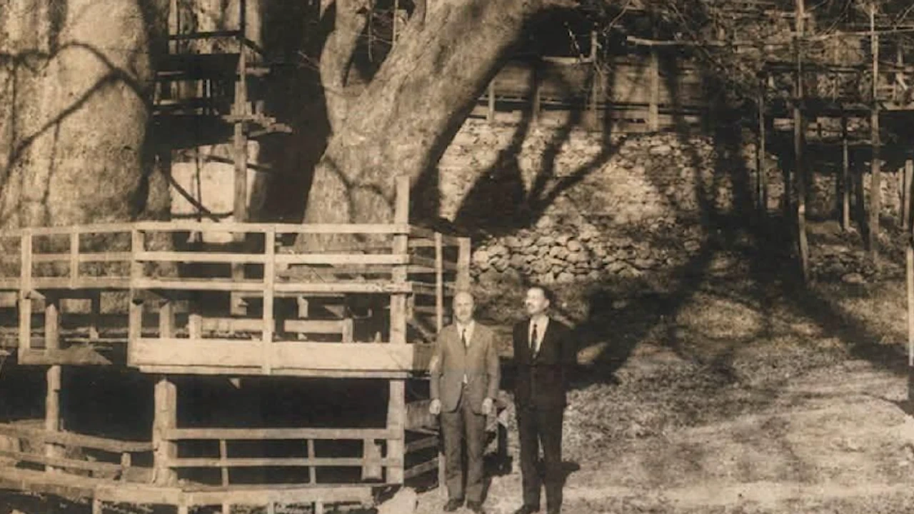 Gedevet'te Yayla Kültürü Yeniden Hayat Bulacak - Antalya Haber