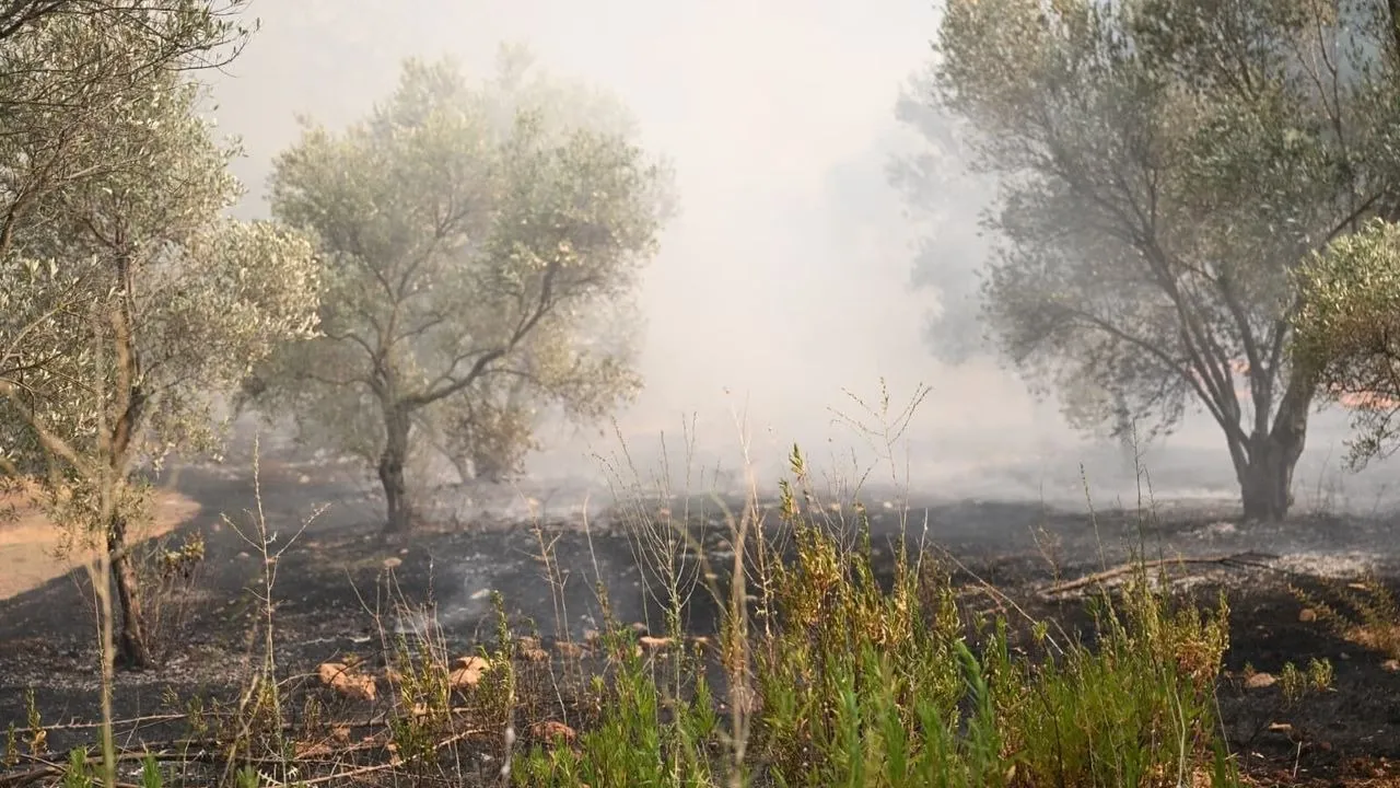 Kaş’taki Orman Yangını Büyük Ölçüde Kontrol Altında - Antalya Haber