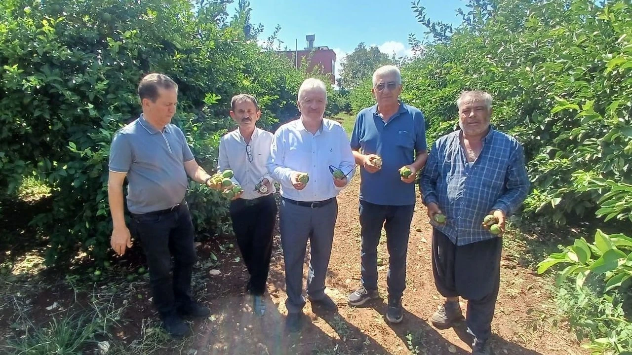 Adana'da Yaklaşık 35 Bin Dönüm Tarım Alanı Zarar Gördü - Antalya Haber