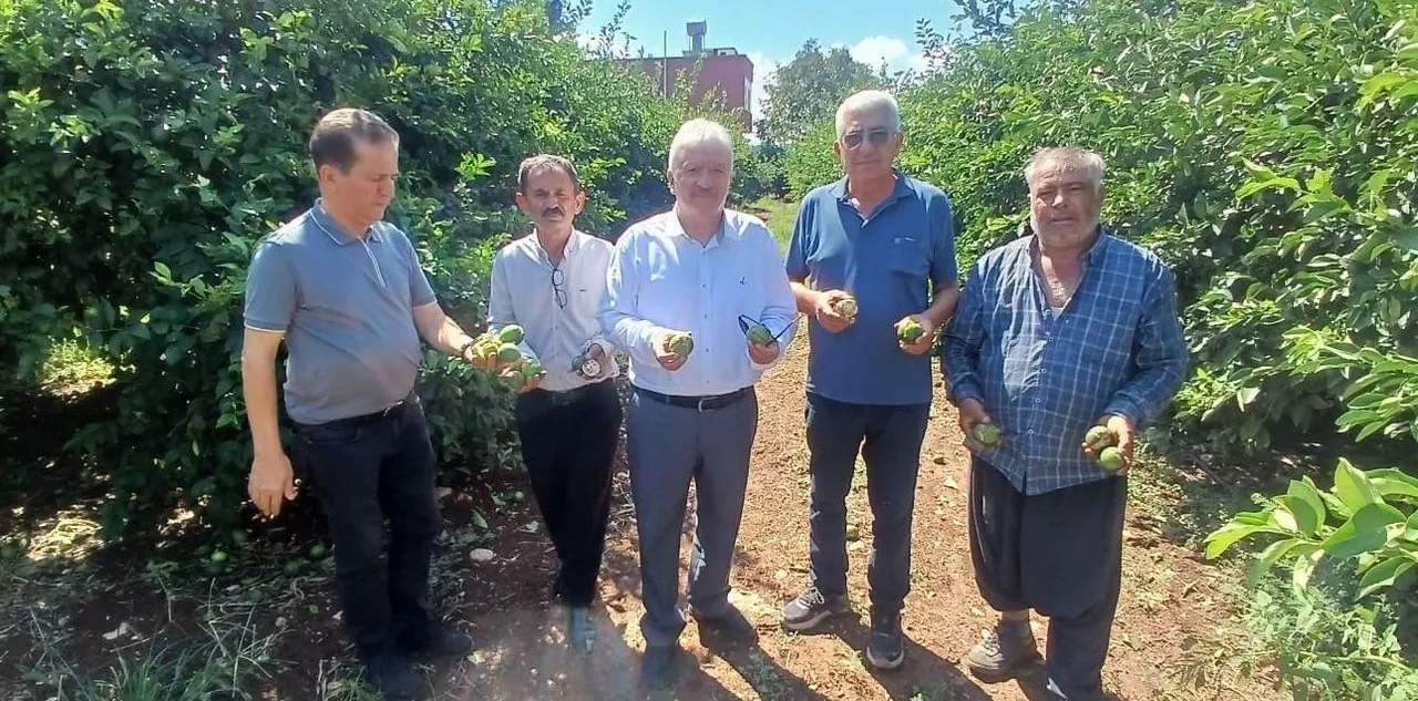 Adana'da Yaklaşık 35 Bin Dönüm Tarım Alanı Zarar Gördü