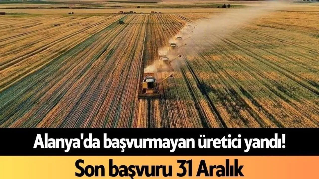 Alanya’da Başvurmayan Üretici Yandı - Antalya Haber