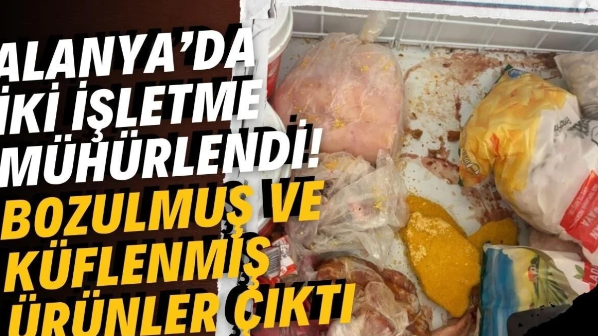 Alanya'da İki İşletme Mühürlendi! Bozulmuş ve Küflenmiş Ürünler Çıktı - Antalya Haber