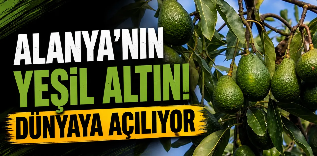 Alanya'nın Yeşil Altını Dünyaya Açılıyor