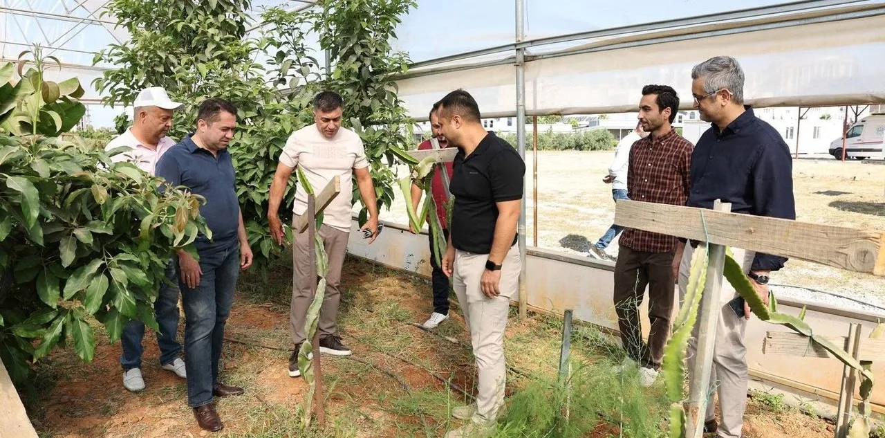Alkü'de İlk Hasat
