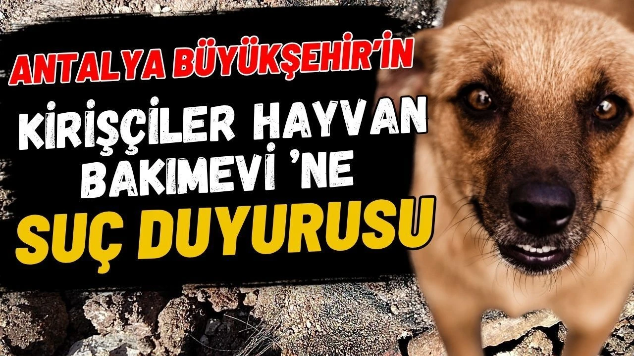 Antalya Büyükşehir'in Kirişçiler Hayvan Bakımevi 'Ne Suç Duyurusu