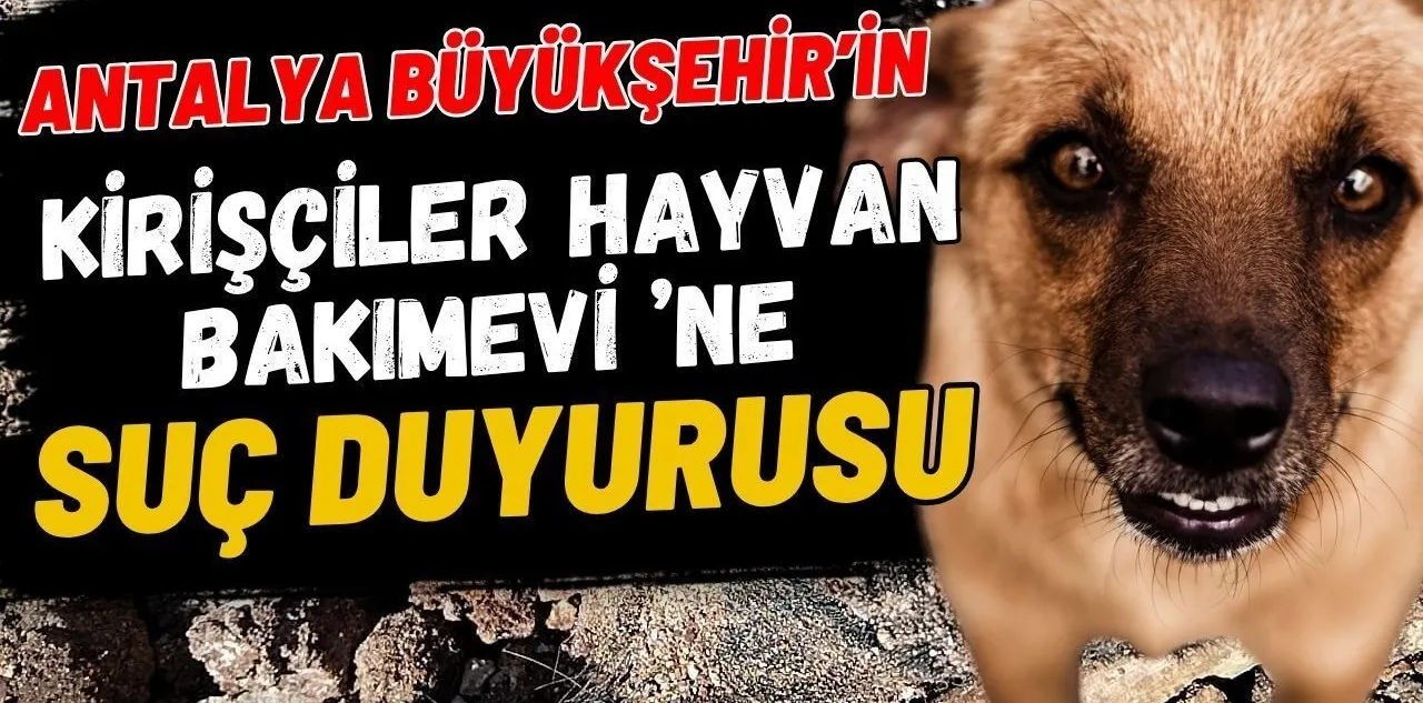 Antalya Büyükşehir'in Kirişçiler Hayvan Bakımevi 'Ne Suç Duyurusu