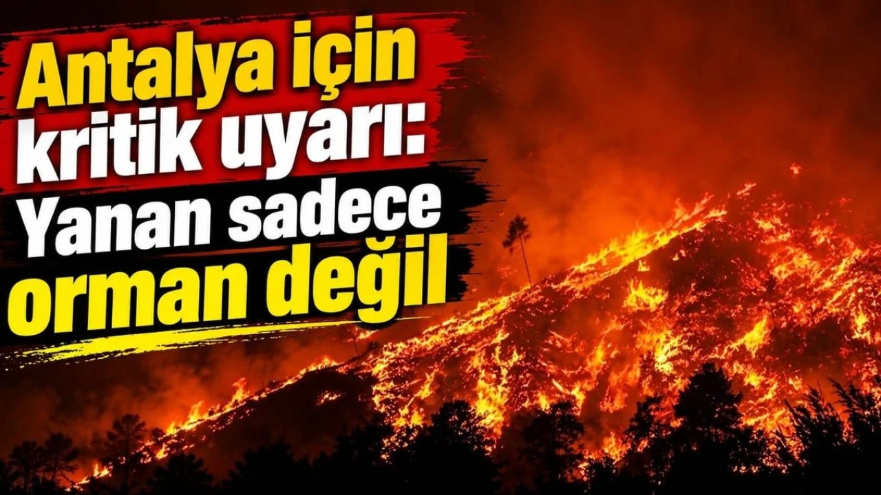Antalya İçin Kritik Uyarı: Yanan Sadece Orman Değil
