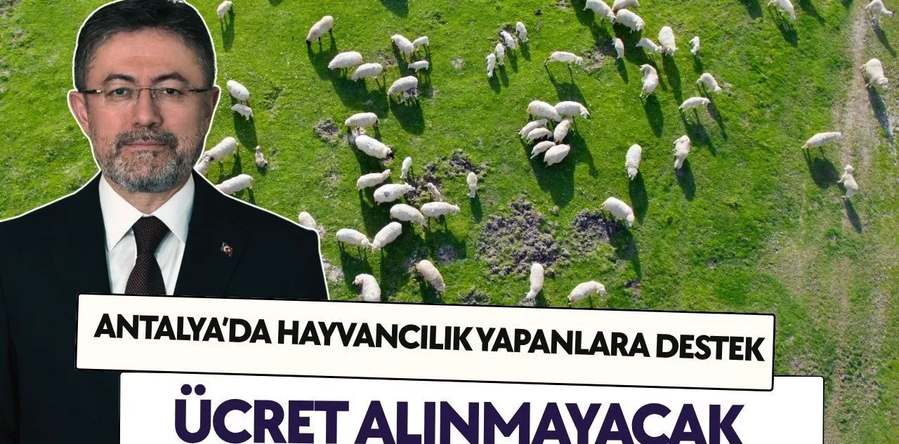 Antalya'da Hayvancılık Yapanlara Nefes Aldıracak Destek: Ücret Alınmayacak