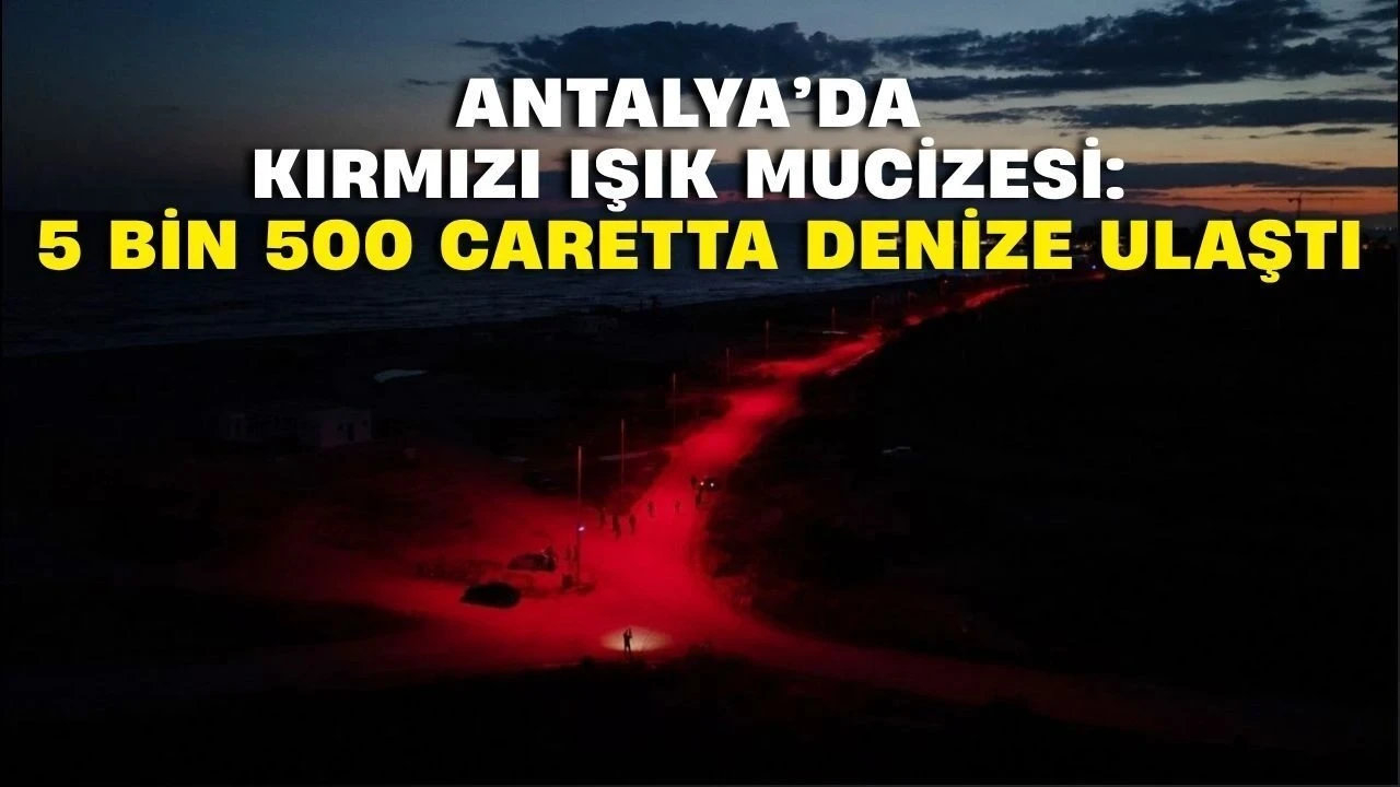 Antalya'da Kırmızı Işık Mucizesi: 5 Bin 500 Caretta Denize Ulaştı - Antalya Haber