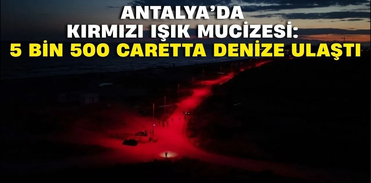 Antalya'da Kırmızı Işık Mucizesi: 5 Bin 500 Caretta Denize Ulaştı