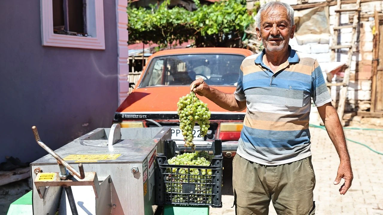 Antalya'da Üzüm Üreticisinin İmdadına Makine Yetişti - Antalya Haber