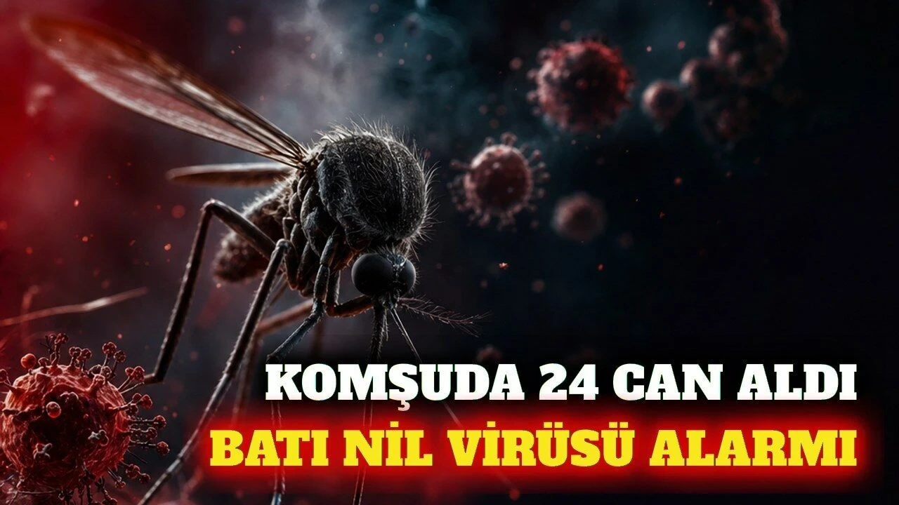 Batı Nil Virüsü Alarmı: Komşuda 24 Ölüm, Belirtileri Neler - Antalya Haber
