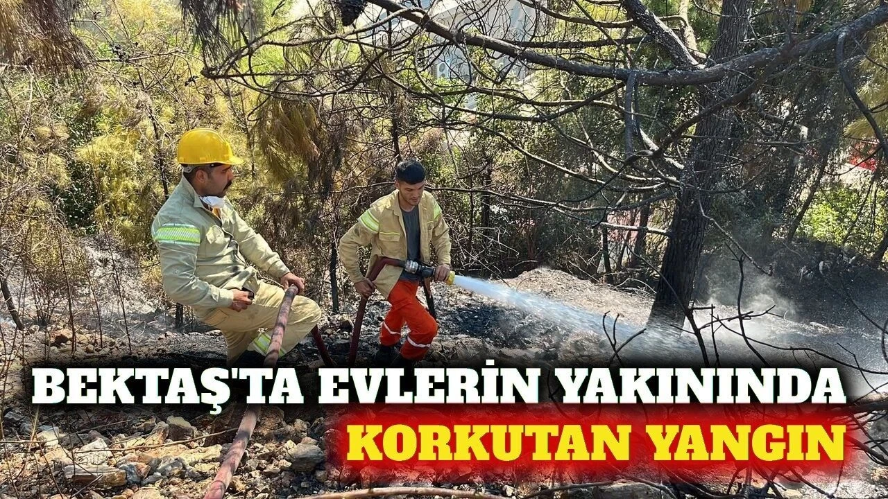 Bektaş'ta Yerleşim Yerine Yakın Çalılık Yangını - Antalya Haber