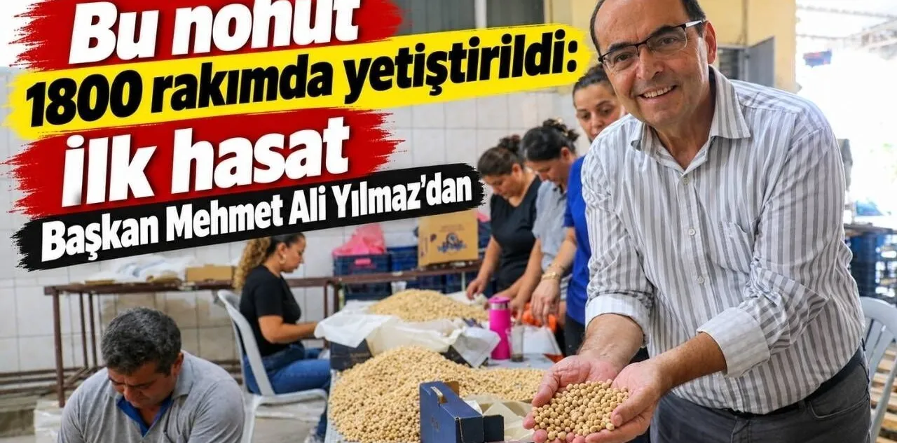 Bu Nohut 1800 Rakımda Yetiştirildi: İlk Hasat Başkan Mehmet Ali Yılmaz'dan
