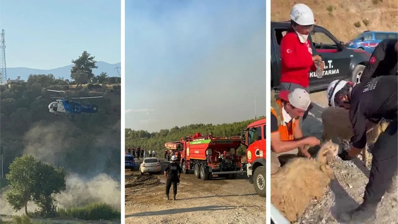 Yangın Bölgesinde Canlıların Tahliyesi İçin Seferber Oldular - Antalya Haber