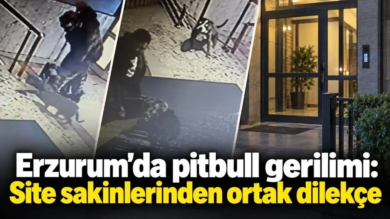 Erzurum'da Pitbull Gerilimi: Site Sakinlerinden Ortak Dilekçe - Antalya Haber