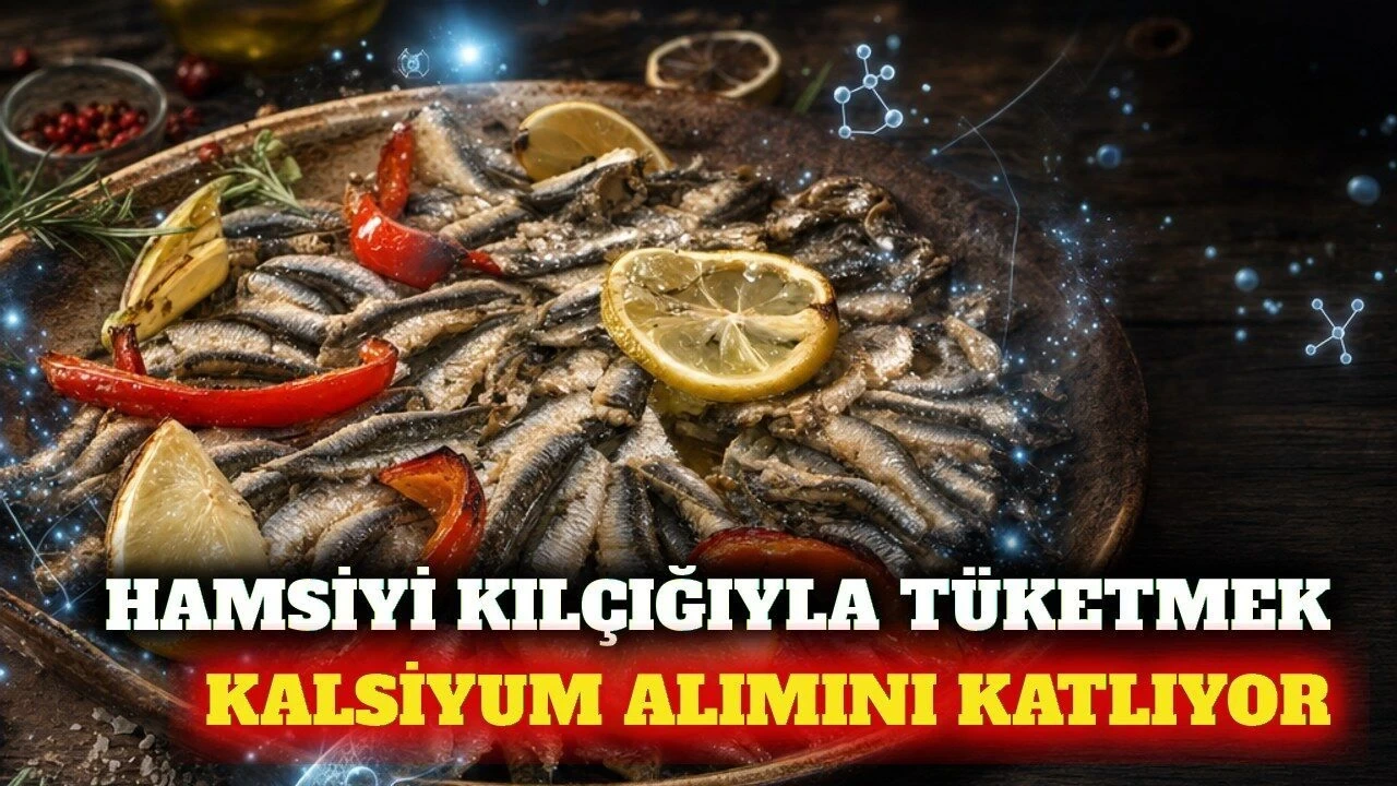 Hamsiyi Kılçığıyla Tüketmek Kalsiyum Alımını Artırıyor - Antalya Haber