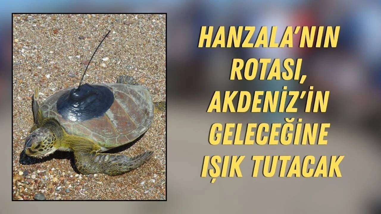 Hanzala'nın Rotası, Akdeniz'in Geleceğine Işık Tutacak - Antalya Haber