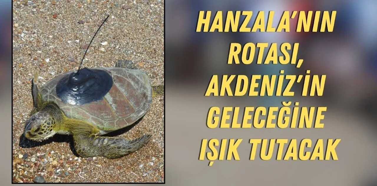 Hanzala'nın Rotası, Akdeniz'in Geleceğine Işık Tutacak