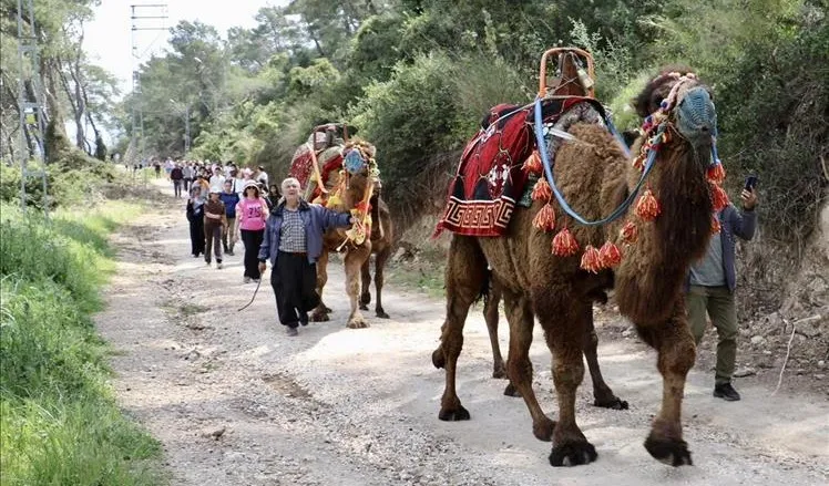 Kaş'ta 23. Likya Su Yolu Yürüyüşü ve Patara Yörük Göçü Etkinliği Gerçekleştirildi
