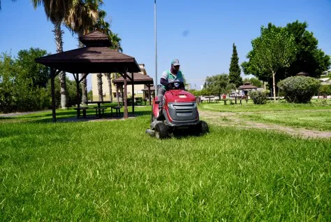 Kepez'in Yeşil Alanları Titizlikle Korunuyor