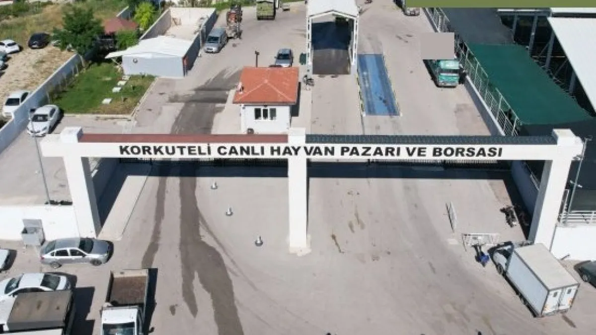 Korkuteli Hayvan Pazarı'nda Kurbanlık Satışları Başladı - Antalya Haber