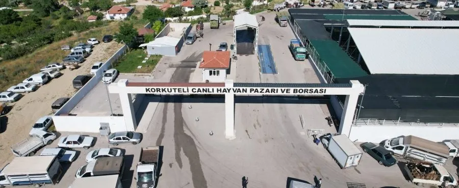 Korkuteli Hayvan Pazarı'nda Kurbanlık Satışları Başladı