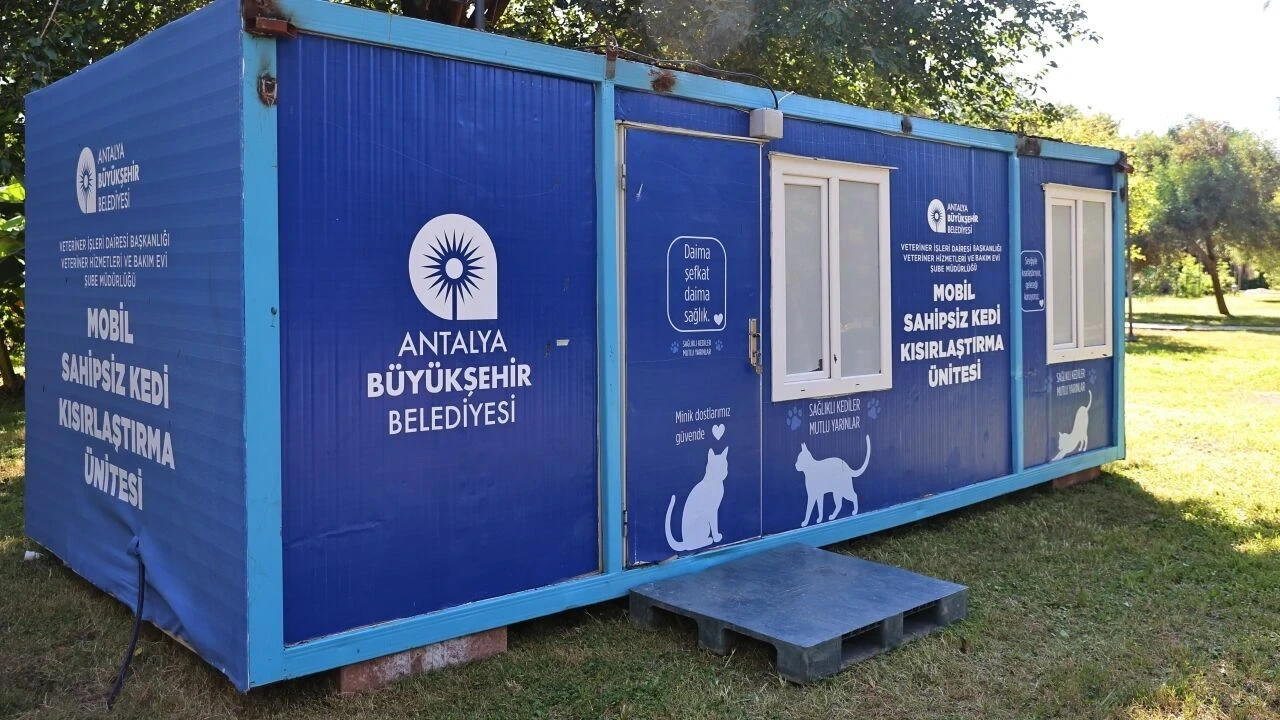 Mobil Kedi Kısırlaştırma Ünitesi Karaalioğlu Parkı'nda - Antalya Haber