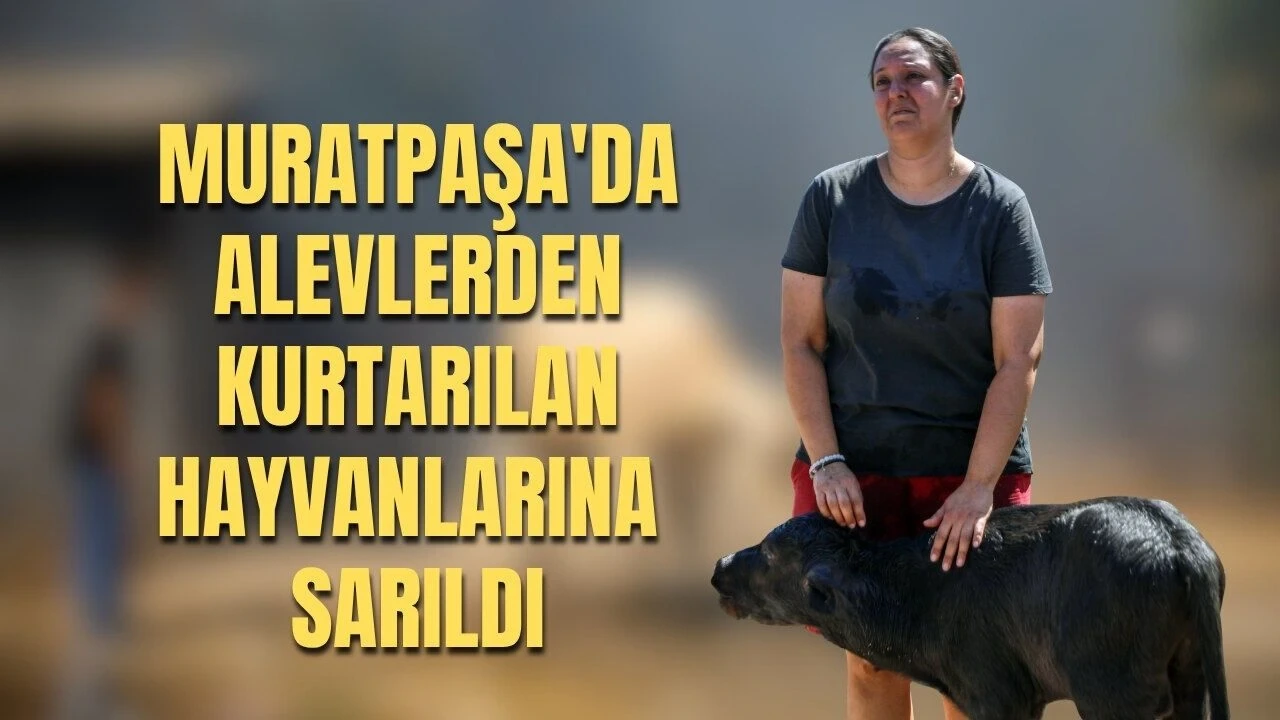 Muratpaşa'da Alevlerden Kurtarılan Hayvanlarına Sarıldı - Antalya Haber