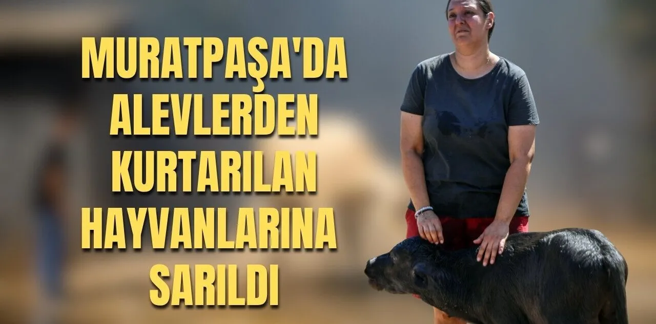 Muratpaşa'da Alevlerden Kurtarılan Hayvanlarına Sarıldı