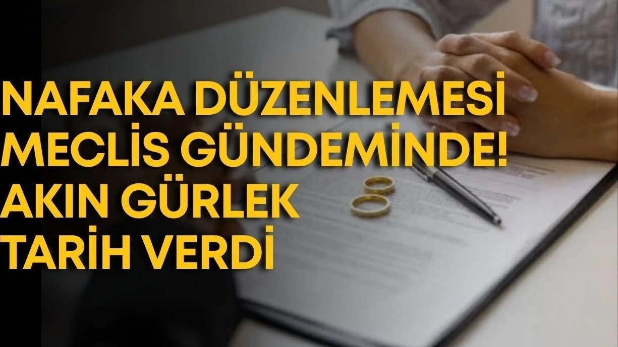 Nafaka Düzenlemesi Meclis Gündeminde! Akın Gürlek Tarih Verdi - Antalya Haber