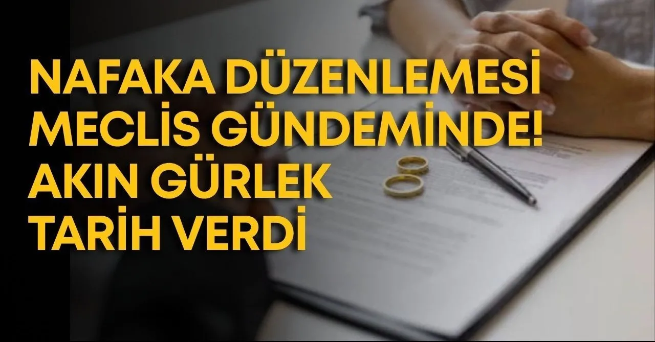 Nafaka Düzenlemesi Meclis Gündeminde! Akın Gürlek Tarih Verdi