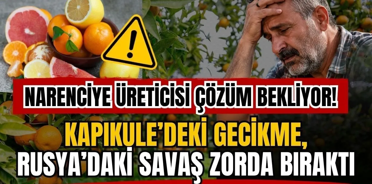 Narenciye Üreticisi Sorunlarına Çözüm Bekliyor! Kapıkule'deki Gecikme, Rusya'daki Savaş Zorda Bıraktı