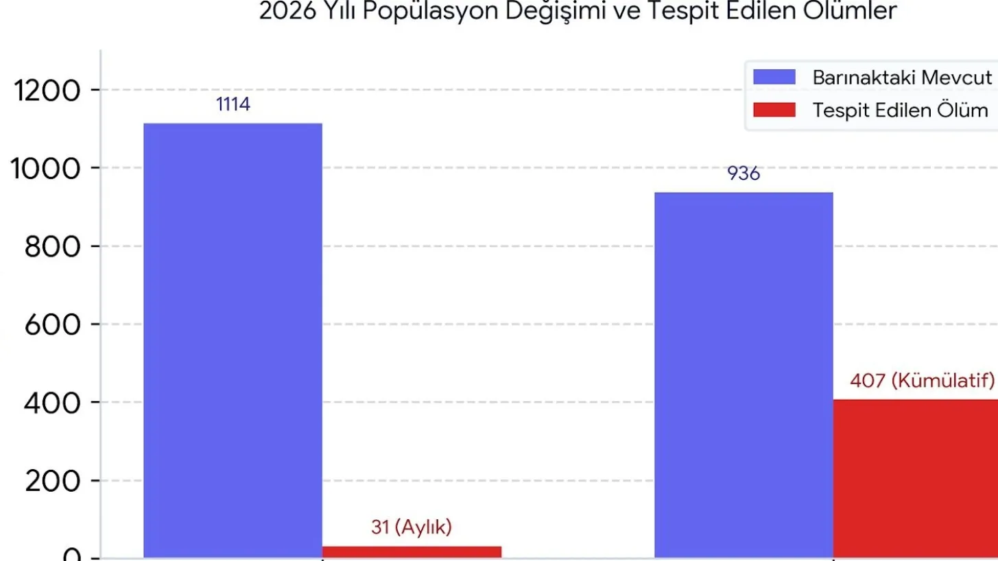 Alanya Belediyesi’ne ‘Can Dostlar’ Raporu - Antalya Haber