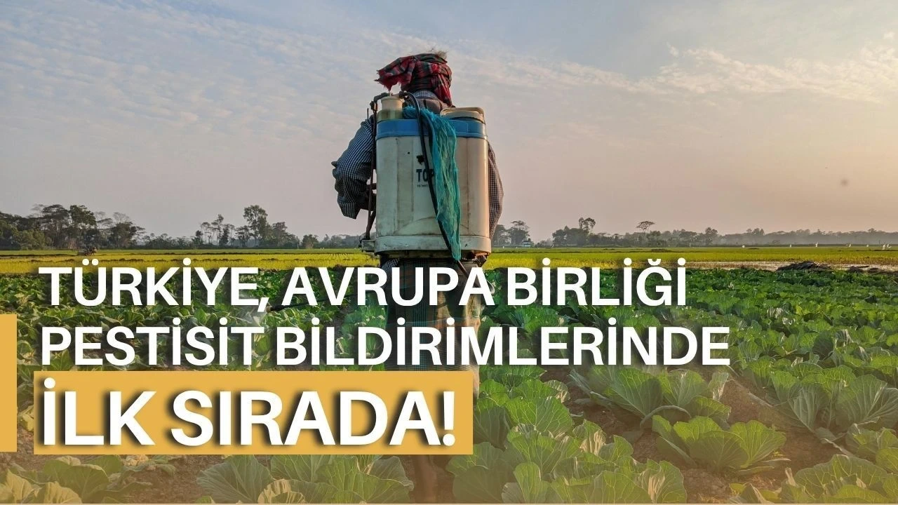 Türkiye, Avrupa Birliği Pestisit Bildirimlerinde İlk Sırada - Antalya Haber