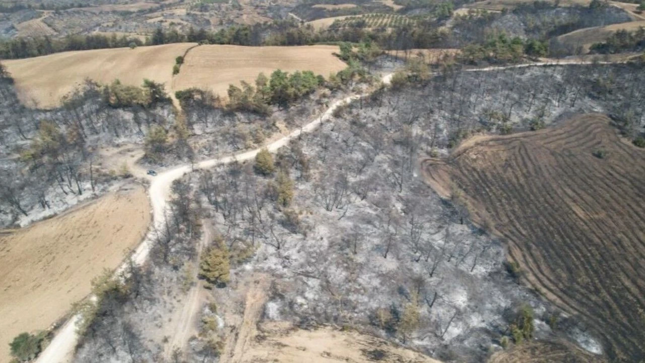 Yangın Sonrası Acı Manzara - Antalya Haber